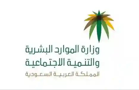 إلغاء توطين مهن جديدة قبل نهاية 2025